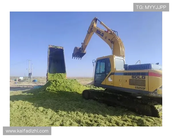 凯发K8线上登陆安全措施,保障用户信息与资金安全 凯发K8线上登陆安全措施,保障用户信息与资金安全